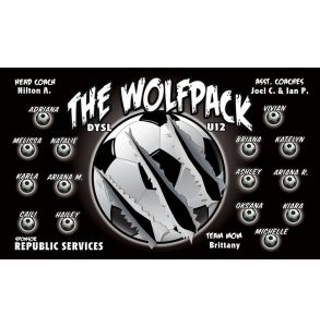 PD-BALL-1-WOLFPACK-0001