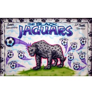 AB-CGR-24-JAGUARS-0001