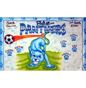 AB-PNTHR-6-PANTHERS-0004
