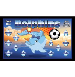 PD-DOLP-13-DOLPHINS-0003