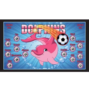 PD-DOLP-13-DOLPHINS-0002