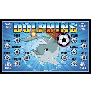 PD-DOLP-13-DOLPHINS-0001