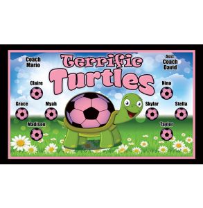 PD-TURTLE-1-TURTLES-0001