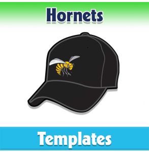 AL- Hornets Baseball  - DYO