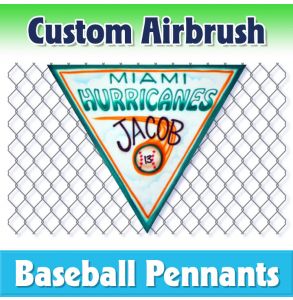 Hurricanes Baseball-1001 - Airbrush Pennant