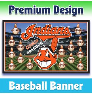 Indians Baseball-1001 - Premium