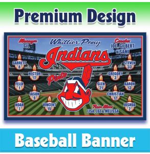 Indians Baseball-1002 - Premium