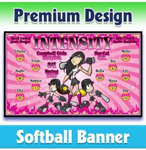 Intensity Softball-2001 - Premium