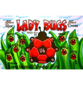 AB-LBUG-5-LADY-BUGS-0001