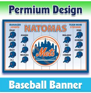 Mets Baseball-1002 - Premium
