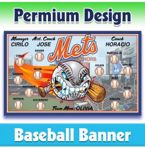 Mets Baseball-1004 - Premium