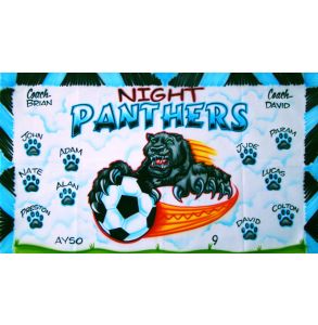 AB-PNTHR-13-PANTHERS-0006