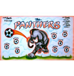 AB-PNTHR-12-PANTHERS-0008