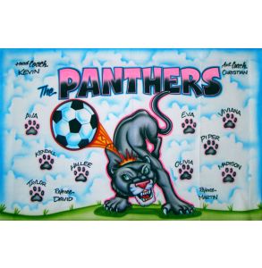 AB-PNTHR-11-PANTHERS-0009