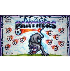 AB-CGR-7-PANTHERS-0022