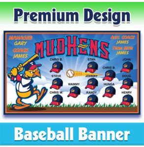Mud Hens Baseball-1002 - Premium