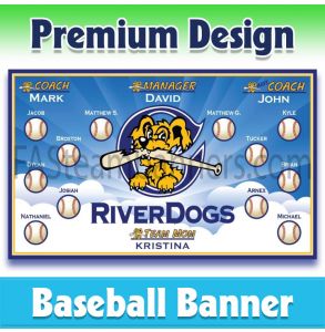 RiverDogs Baseball-1001 - Premium