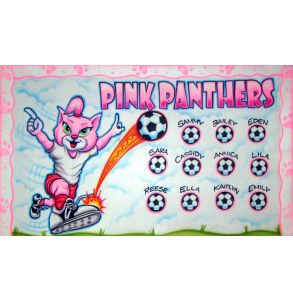 AB-CAT-1-PANTHERS-0013