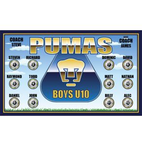 PD-PUMA-1-PUMAS-0001