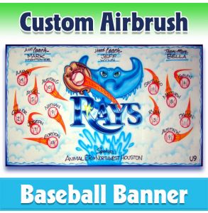 Rays Baseball-1009 - Airbrush 