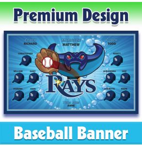 Rays Baseball-1001 - Premium