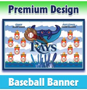 Rays Baseball-1002 - Premium
