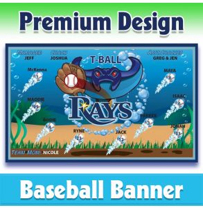 Rays Baseball-1003 - Premium
