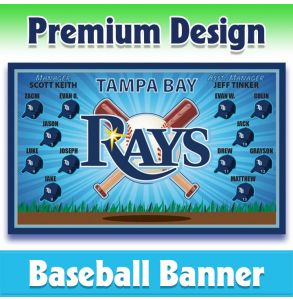 Rays Baseball-1004 - Premium