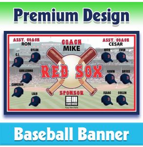 Red Sox Baseball-1002 - Premium