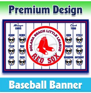Red Sox Baseball-1005 - Premium