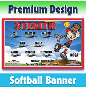 Stealth Softball-2001 - Premium