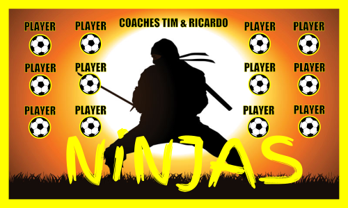Ninjas-0002