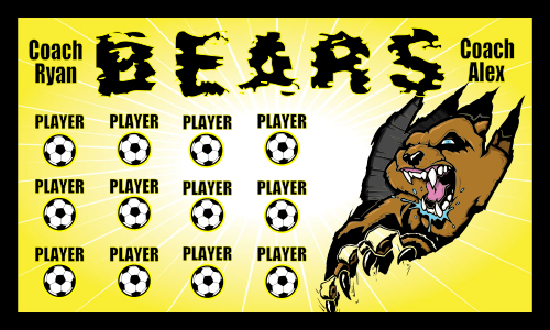Bears-0004