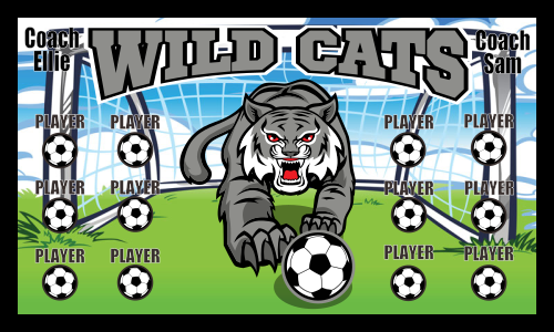 Wildcats-0002