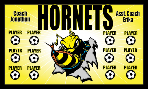 Hornets-0001